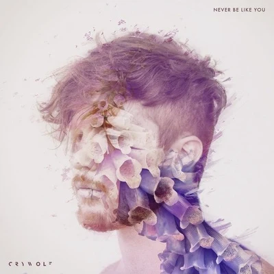 Never Be Like You 專輯 Crywolf/Ferry Corsten