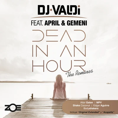 Dead in an Hour (Remixes) 專輯 DJ Valdi