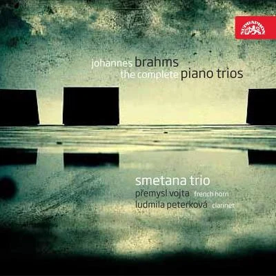 Brahms: The Complete Piano Trios 专辑 Jitka Cechova