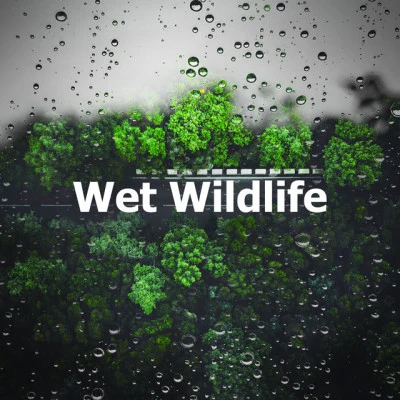 Wet Wildlife 专辑 Thunder Storm/Binaural Beats Brain Waves Isochronic Tones Brain Wave Entertainment/Rest & Relax Nature Sounds