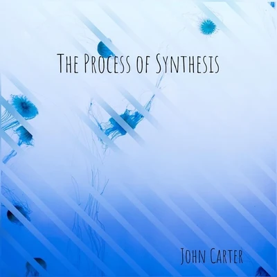 The Process of Synthesis 专辑 Soul Population/Alvin Robinson/John Carter