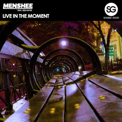 Live In The Moment 专辑 Menshee/Martin Mix