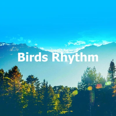 Birds Rhythm 專輯 Echoes Of Nature