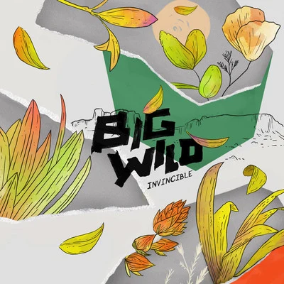 Invincible EP 專輯 Big Wild