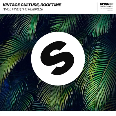 Vintage CultureJames Hype I Will Find (The Remixes)