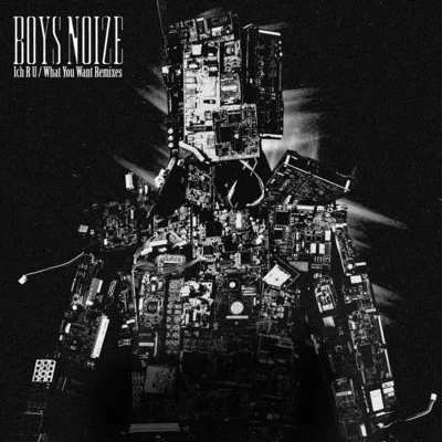 Ich R UWhat You Want (Remixes) 專輯 Boys Noize