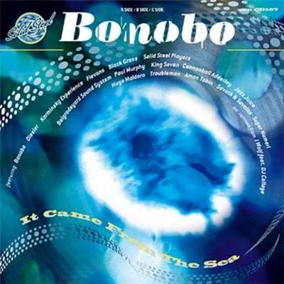 Bonobo Solid Steel presents Bonobo