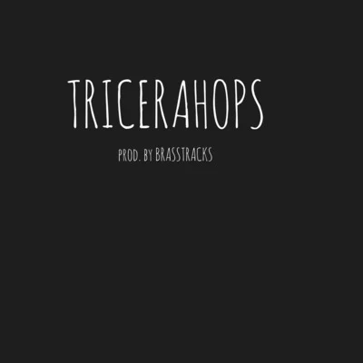 Tricerahops 專輯 TOO MANY ZOOZ