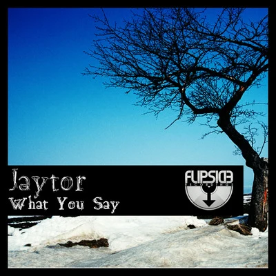 What You Say 專輯 Jaytor