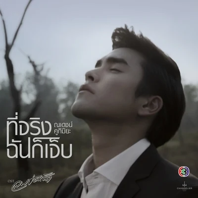 Nadech KugimiyaYaya Urassaya ที่จริงฉันก็เจ็บ (เพลงประกอบละคร ลมซ่อนรัก)