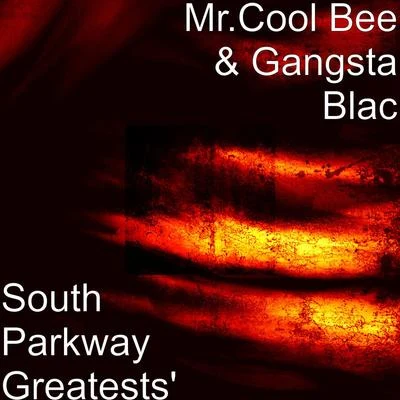 South Parkway Greatests 專輯 Gangsta Blac/Blackout/Terror/PEANUT