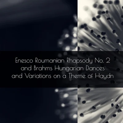 Enesco Roumanian Rhapsody No. 2 and Brahms Hungarian Dances and Variations on a Theme of Haydn 专辑 London Symphony Orchestra/Gwynne Howell/Sir Colin Davis/Dame Kiri Te Kanawa/The London Symphony Orchestra