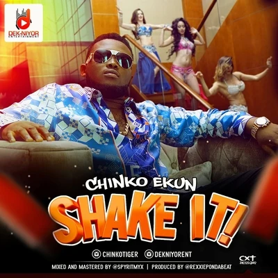 Shake It 专辑 Chinko Ekun