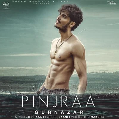 Pinjraa - Single 专辑 Gurnazar