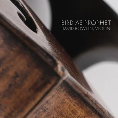 Bird as Prophet 專輯 Ayano Kataoka