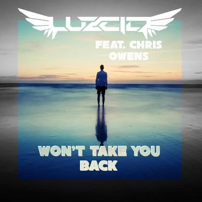 Wont Take You Back (feat. Chris Owens) 專輯 Jason Leech/Luzcid/Jizzy Fra