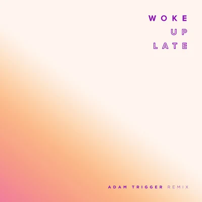 Woke Up Late (Adam Trigger Remix) 专辑 Drax Project/Cedric Gervais