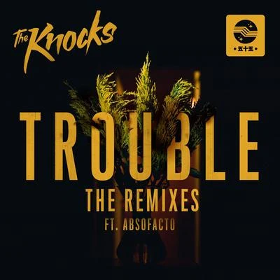 TROUBLE (Remixes) 專輯 The Knocks/Fred Falke