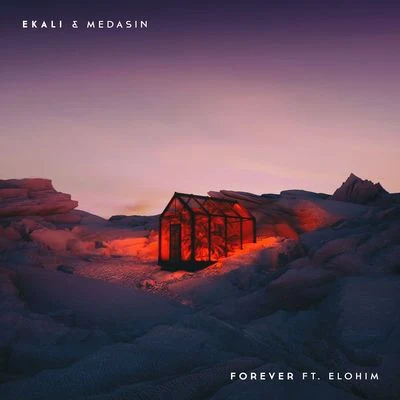 Forever 专辑 Medasin