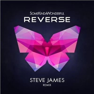 Steve James SomeKindaWonderful - Reverse (Steve James Remix)