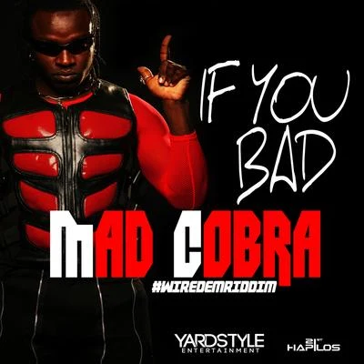 Mad Cobra If You Bad