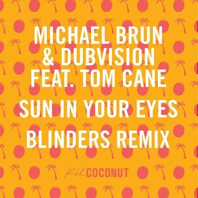 Sun in Your Eyes (Blinders Remix) 專輯 baha/Michael Brun