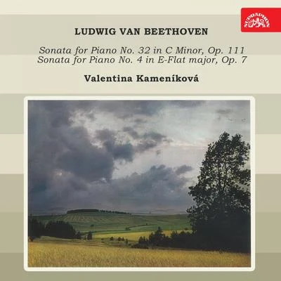 Beethoven: Piano Sonatas 專輯 Valentina Kamenikova