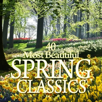 40 Most Beautiful Spring Classics 專輯 Zubin Mehta/Israel Philharmonic Orchestra