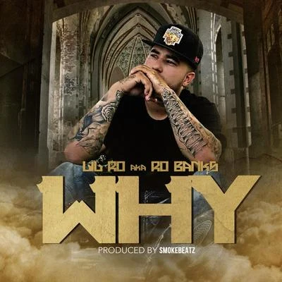 Why 專輯 Lil Ro/Kap G