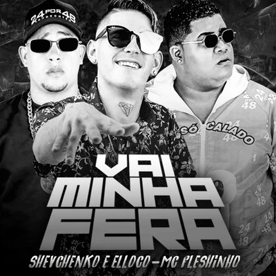 Vai Minha Fera 專輯 Mc Balakinha/Mc Fleshinho/Mc Loko/DJ Bruninho