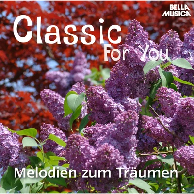 Classic for You: Melodien zum Träumen 專輯 Slovak State Philharmonic Orchestra/Johannes Wildner