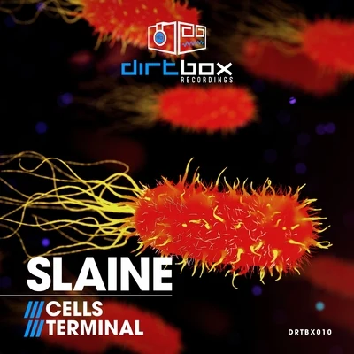 CellsTerminal 專輯 Slaine