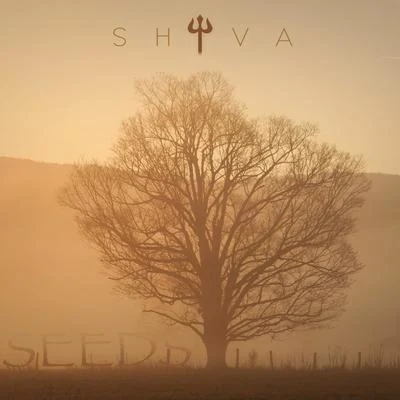 Seeds (Instrumentals) 專輯 Shiva