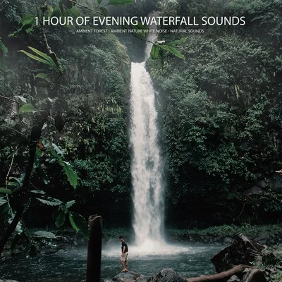 Ambient Nature White NoiseEasy Sleep MusicStudying Music 1 Hour of Evening Waterfall Sounds