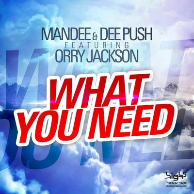 What You Need 专辑 Mandee/MCY/Erik Satie/Quintino & Blasterjaxx/Promid