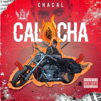 Calocha 專輯 El Chacal/Alex Duvall