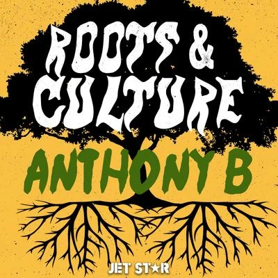 Anthony B: Roots & Culture 专辑 Anthony B