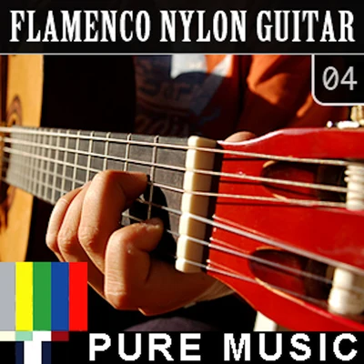 Flamenco Nylon Guitar, Vol. 4 專輯 Raney Shockne/Robert Pegg/The Vines/Hanover Swain/Wenzel Templeton