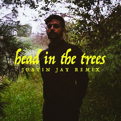 Justin Jay Head In The Trees (Justin Jay Remix)