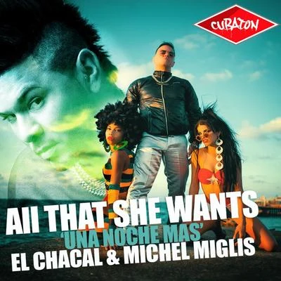 All That She Wants (Una Noche Mas) (DJ Unic Edit) 專輯 El Chacal/Alex Duvall