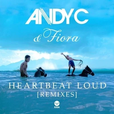 Heartbeat Loud (Remixes) 专辑 Andy C