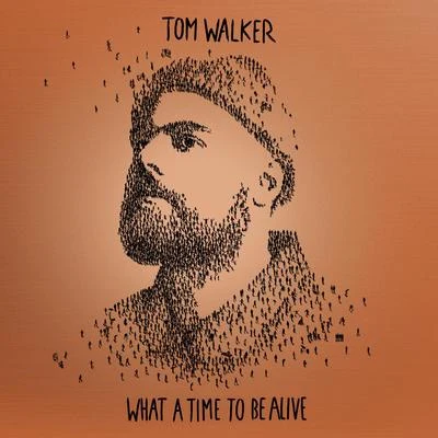 What a Time To Be Alive (Deluxe Edition) 專輯 Tom Walker/Zara Larsson/Jerome Price