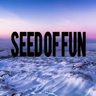 seed of fun 专辑 Aris