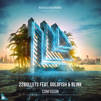 22 BulletsFedde Le Grand Confusion