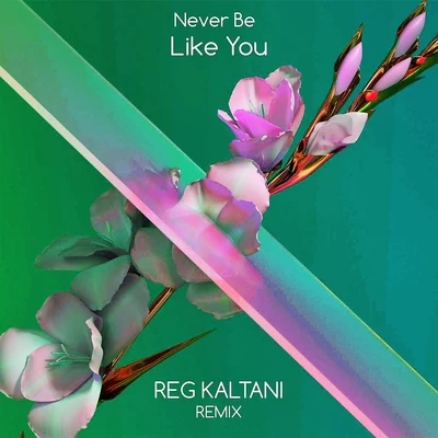 Never Be Like You (Remix) 专辑 Reg Kaltani