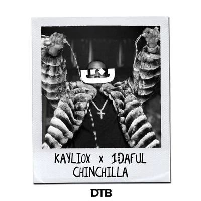 Chinchilla 專輯 Kayliox