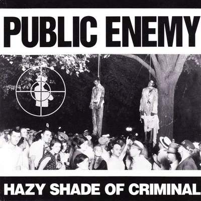 Hazy Shade of Criminal 专辑 Public Enemy