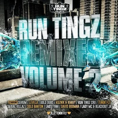 Run Tingz Remixes, Vol. 2 專輯 Run Tingz Cru/Quintino & Blasterjaxx/Tenor Fly