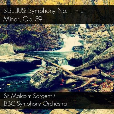 Sibelius: Symphony No. 1 in E Minor, Op. 39 專輯 Jean Sibelius