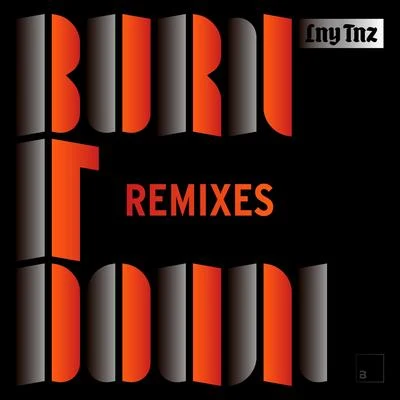 Burn It Down (Remixes) 专辑 LNY TNZ